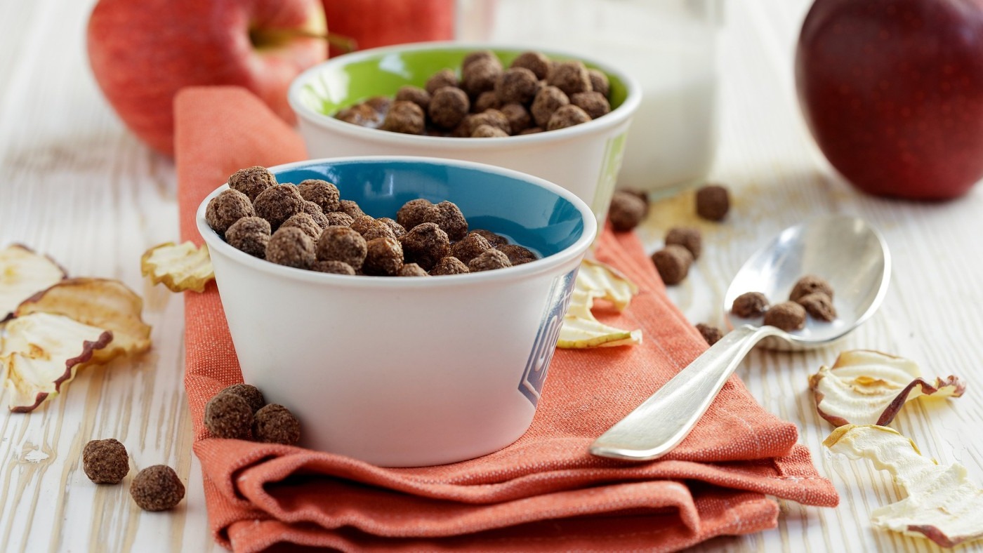 About Wakeat manufacturer & Supplier of breakfast cereal in India